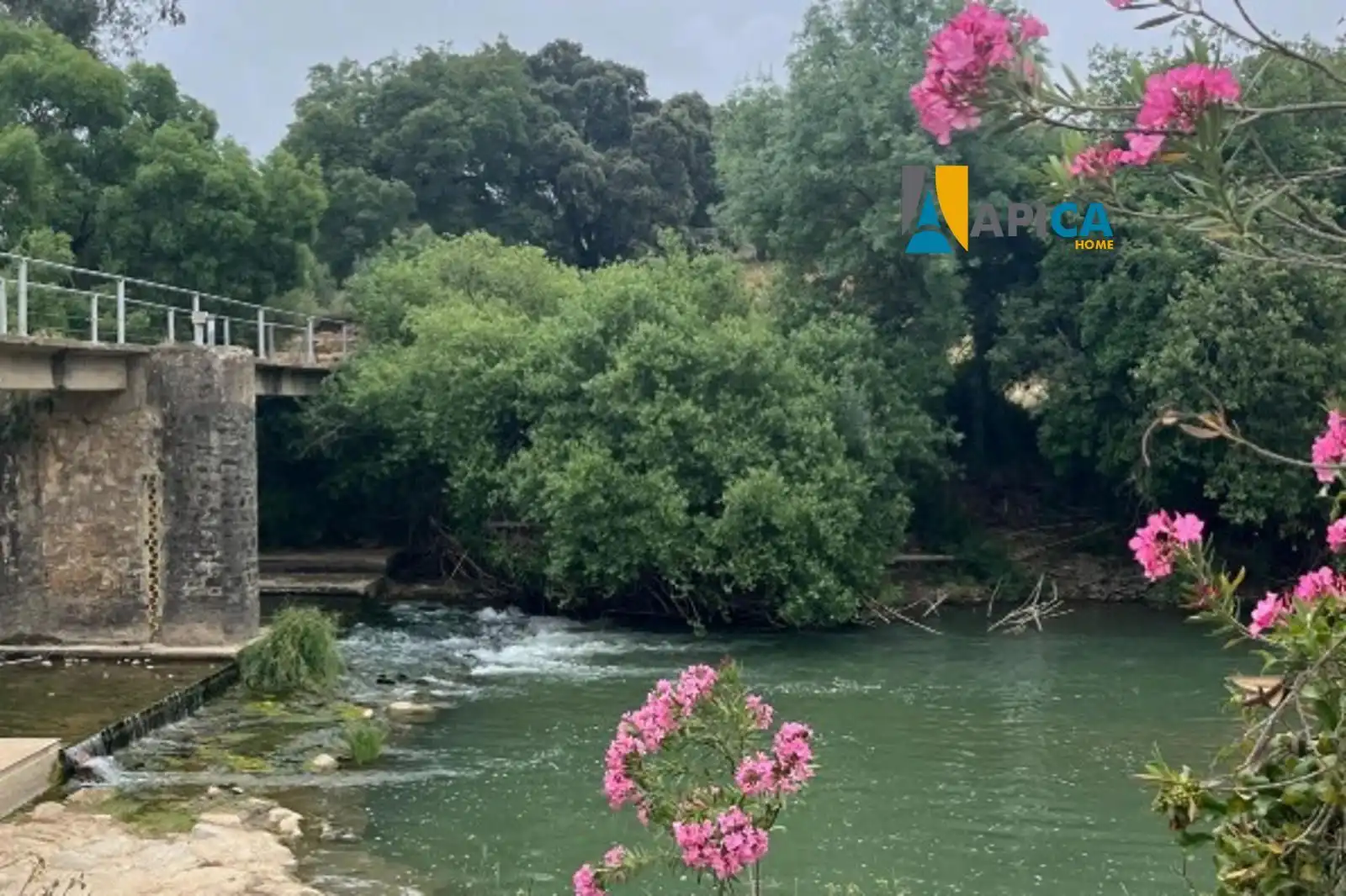 Vista exterior de Casa o chalet en venta en Benalauría con Trastero