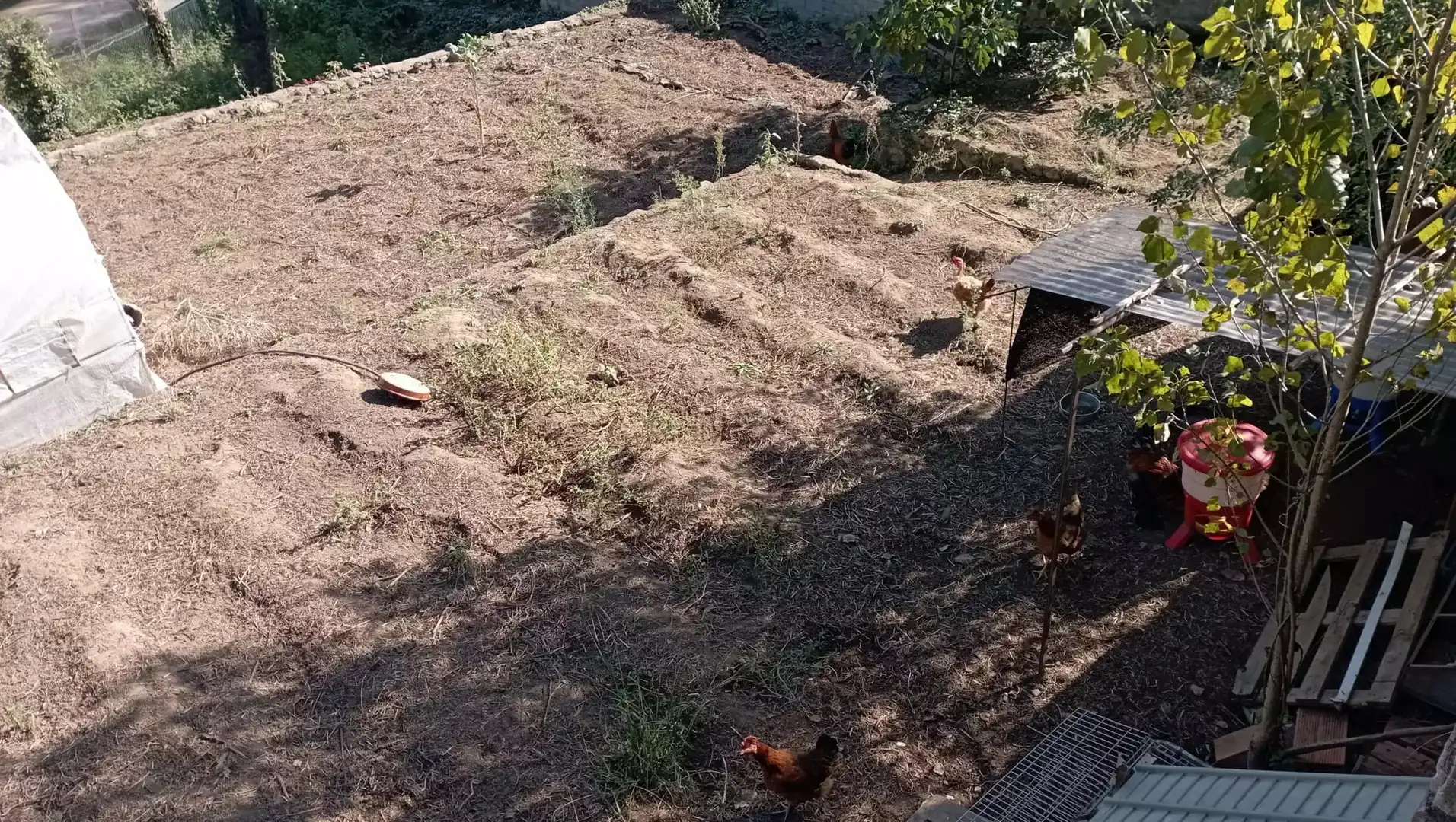 Casa o xalet en venda en Massanes amb Piscina