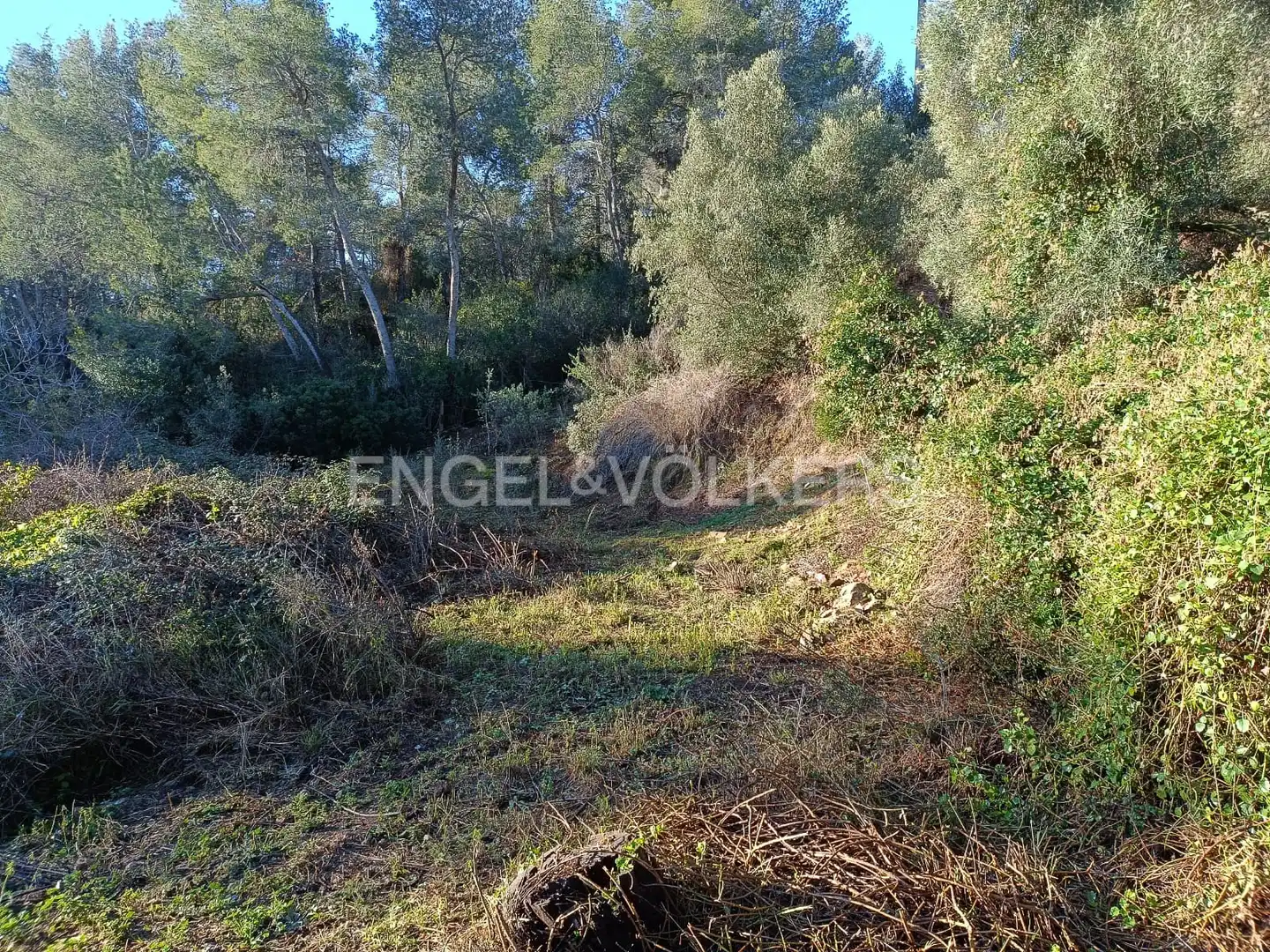 Wohnbaugrundstück zum Verkauf in Cervelló, imagen 15