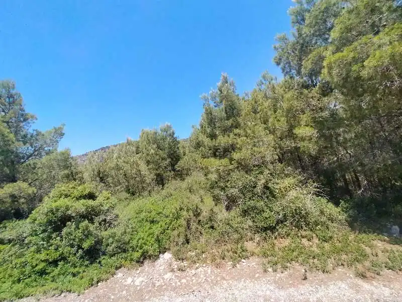 Residential land for sale in EL PINAR, imagen 8
