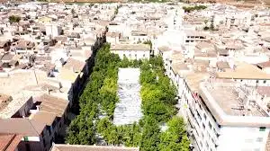 Maison rustique à vendre à Sa Pobla, imagen 11
