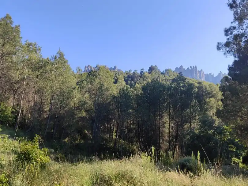 Residencial en venta en Castellbell i el Vilar