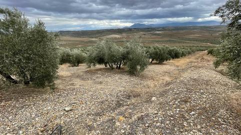 Foto 4 de Finca rústica en venta en San Ildefonso - Catedral,  Jaén Capital