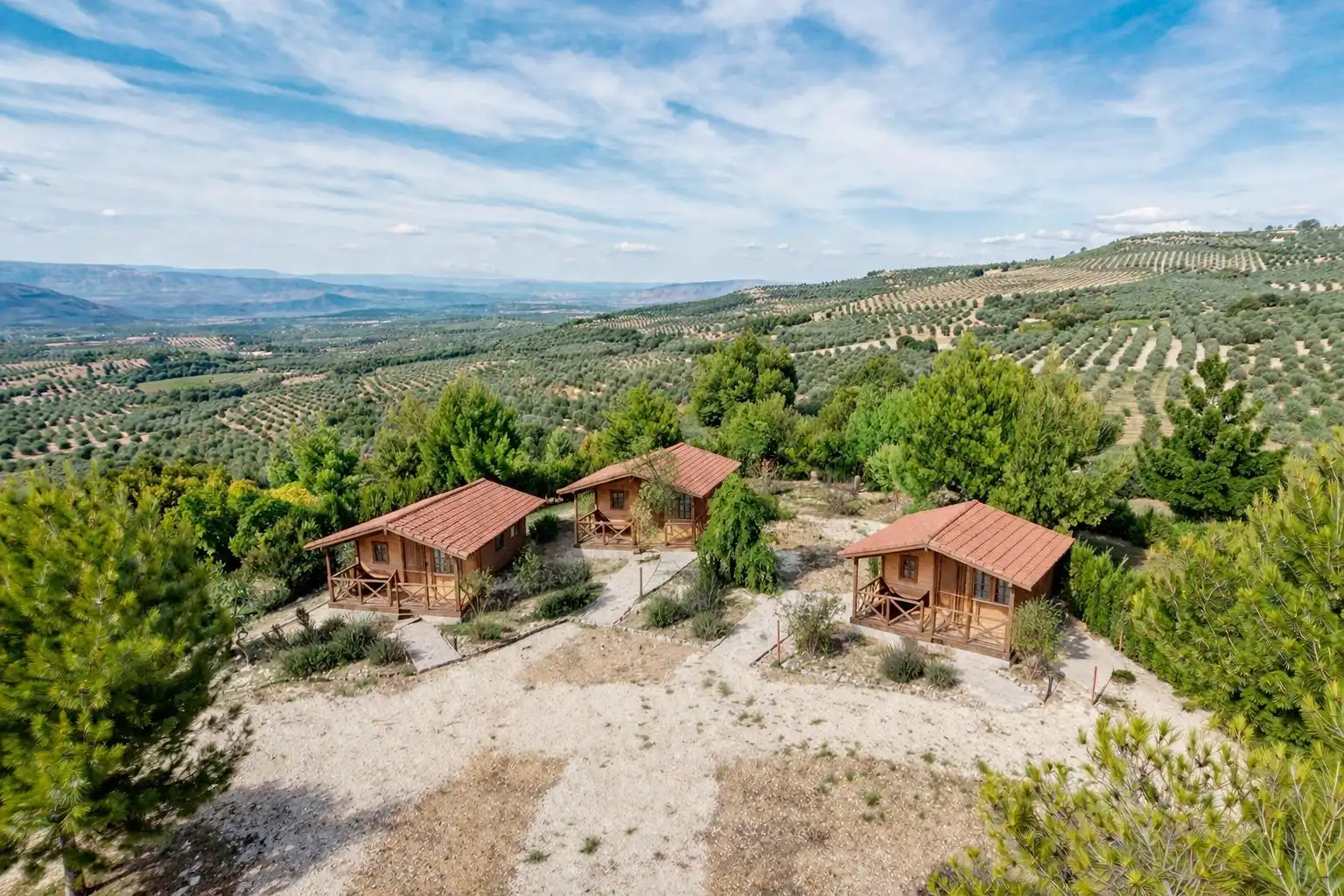 Casa o xalet en venda en Jaén amb Jardí privat, Terrassa i Piscina