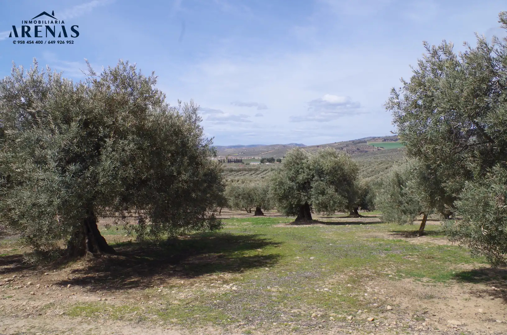 Residential land for sale in Íllora, imagen 10