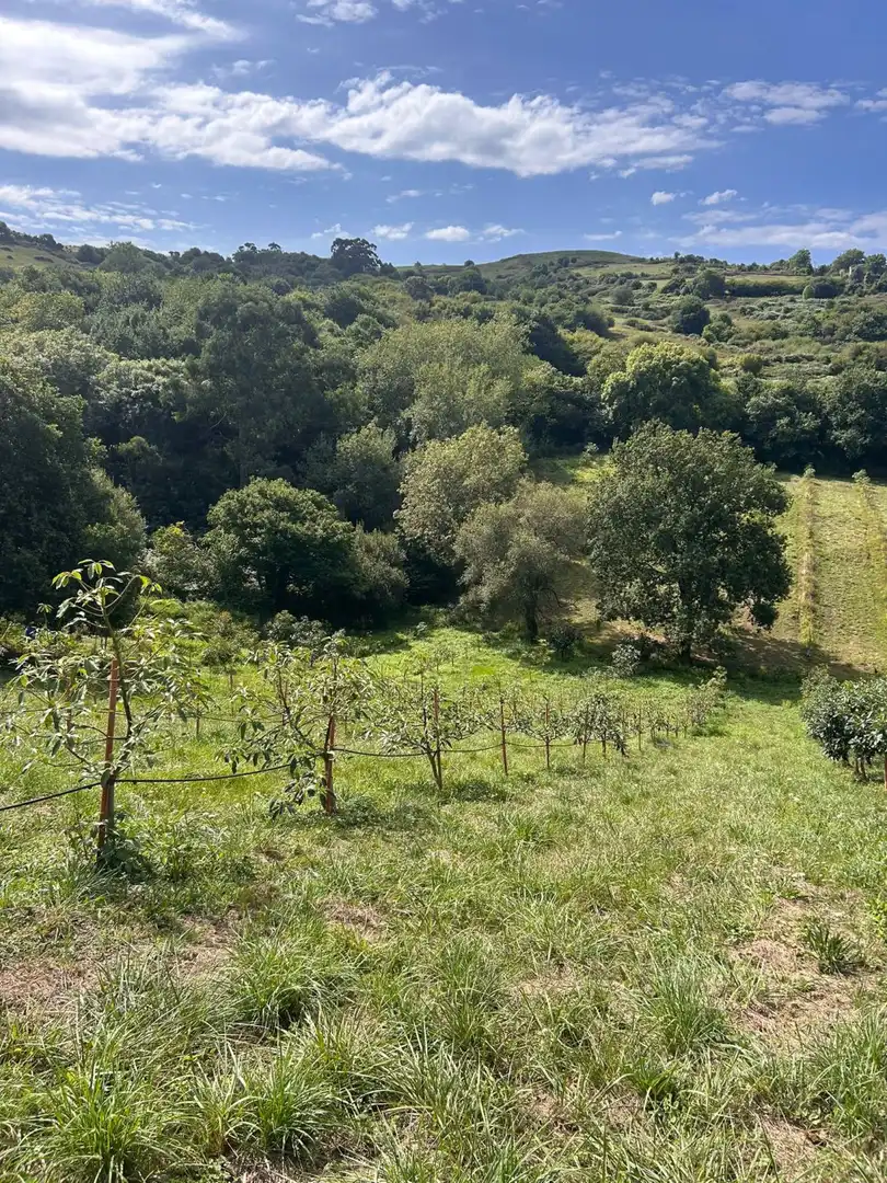 Country house zum Verkauf in El Callejo - La Pesquera - La Arenosa 
