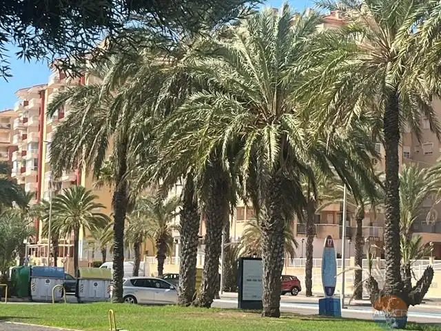 Apartament amb terrassa en venda a Veneziola, imagen 12