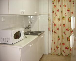 Kitchen of Flat to rent in  Granada Capital  with Heating, Terrace and Furnished