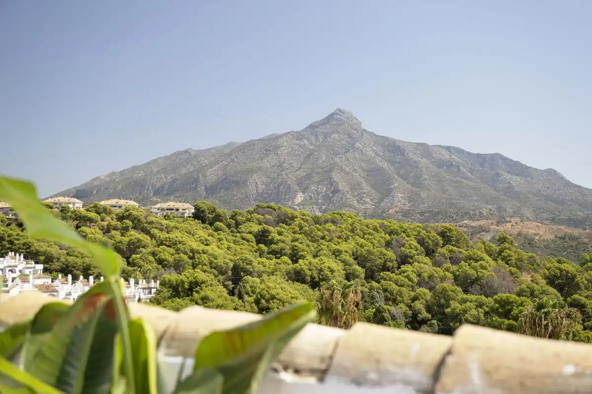 Casa a schiera con piscina in vendita a Nueva Andalucía, imagen 11