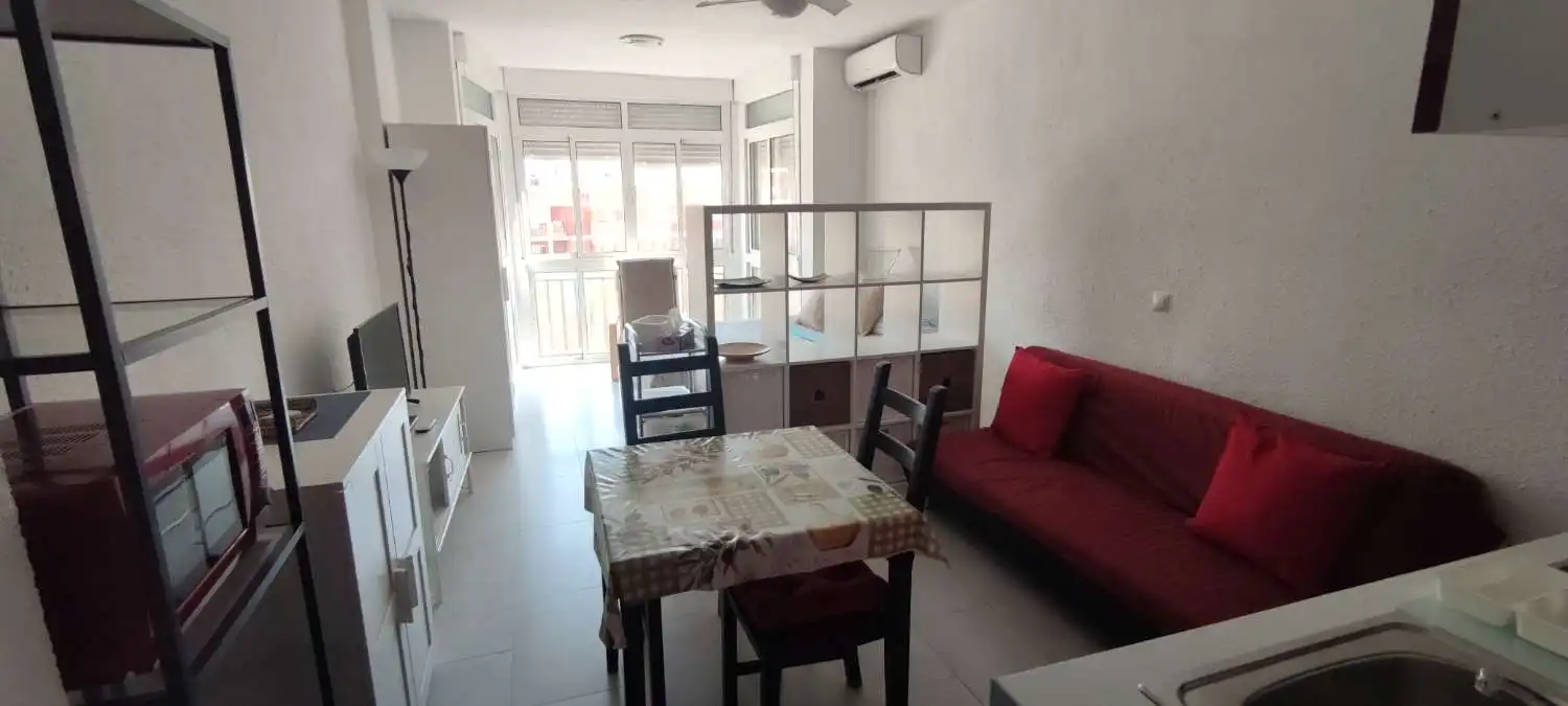 Living room of Study for rent in Torremolinos  with Furnished and Pets allowed
