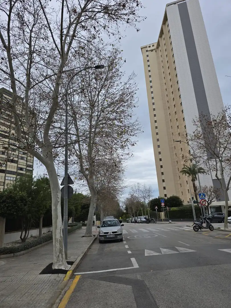 Exterior view of Storage room for sale in Benidorm