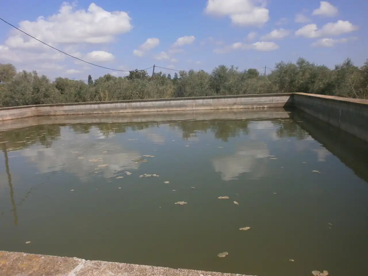 Rural land for sale in Constantí, imagen 19