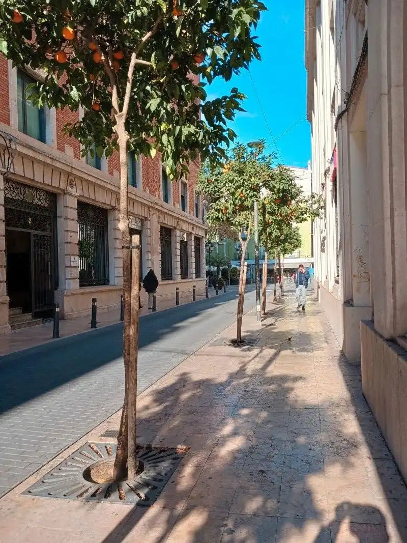 Business premises for sale in Germaníes - Juzgados, imagen 2