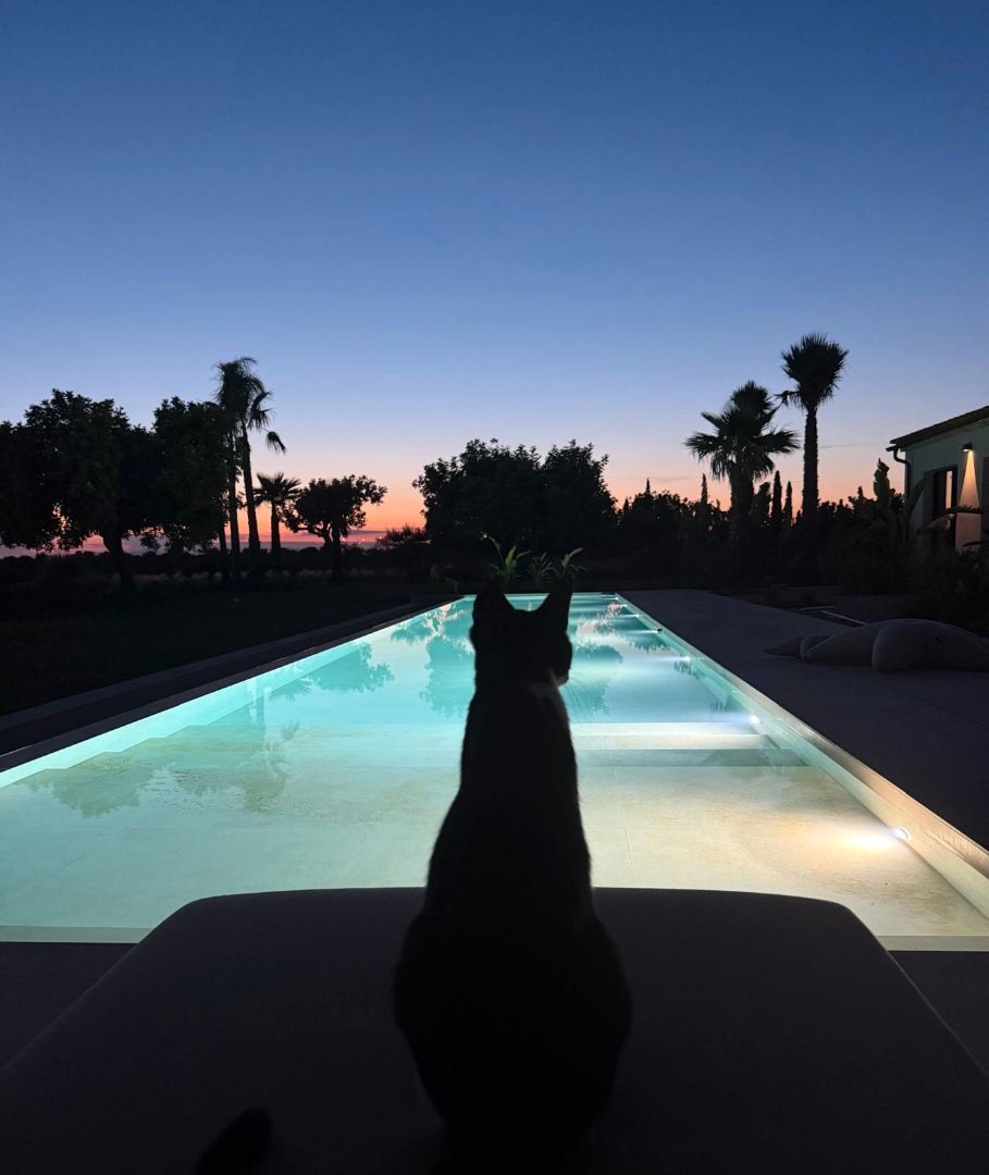 Piscina de Finca rústica en venda en  Palma de Mallorca amb Aire condicionat, Jardí privat i Terrassa