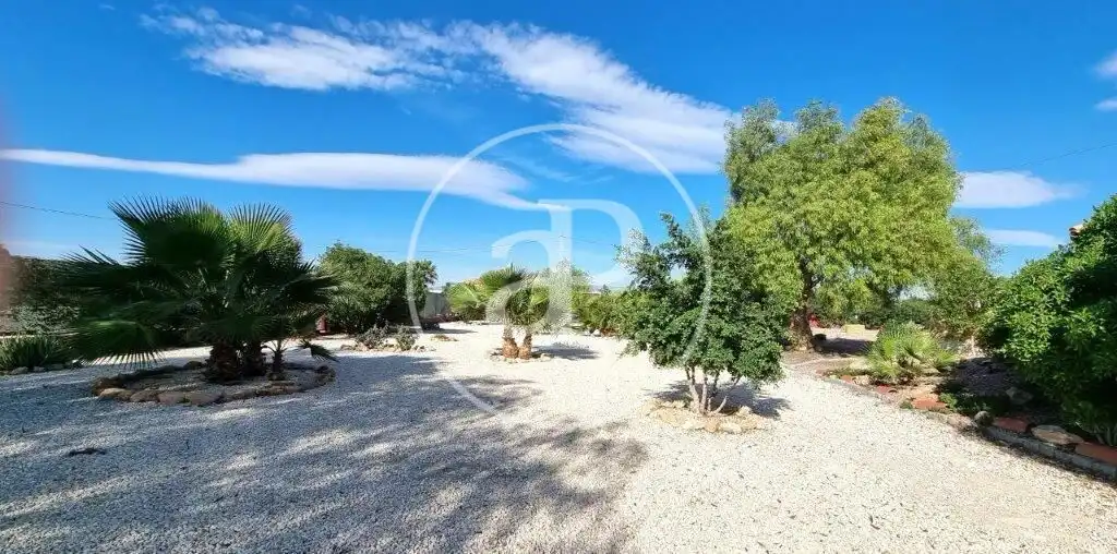 Vista exterior de Casa o chalet en venta en Catral con Aire acondicionado, Calefacción y Jardín privado