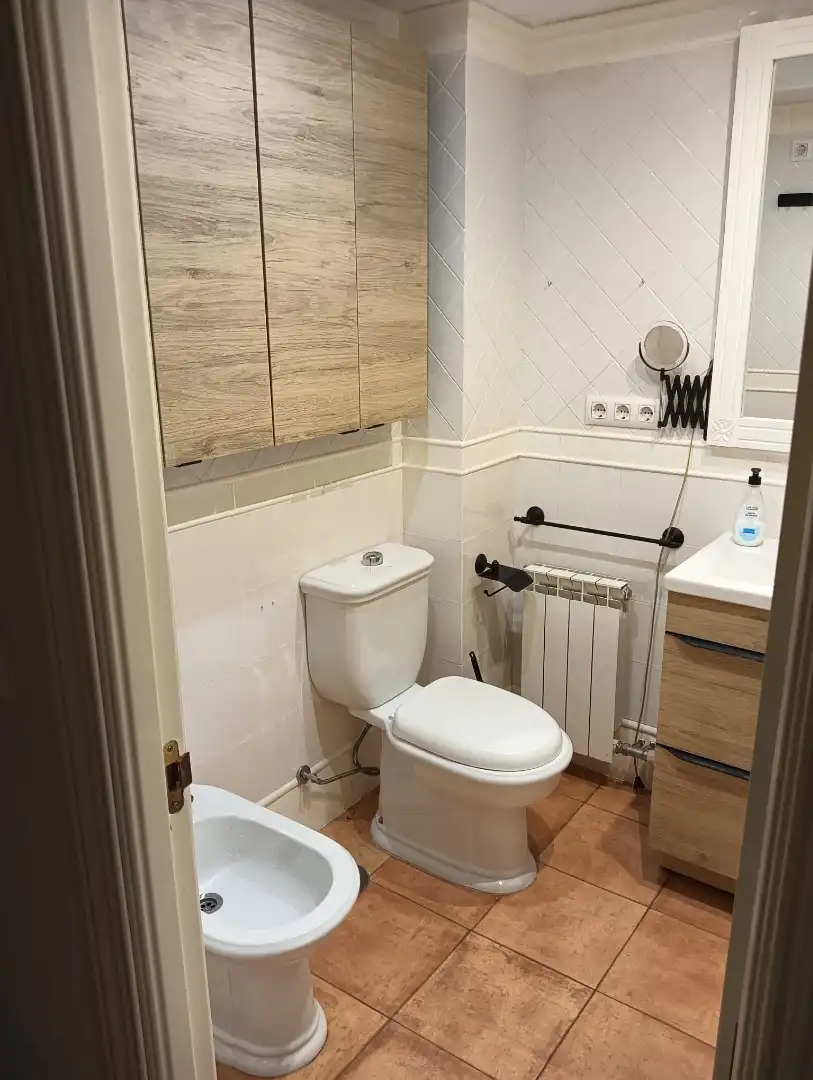 Bathroom of Flat for rent in Zaidín