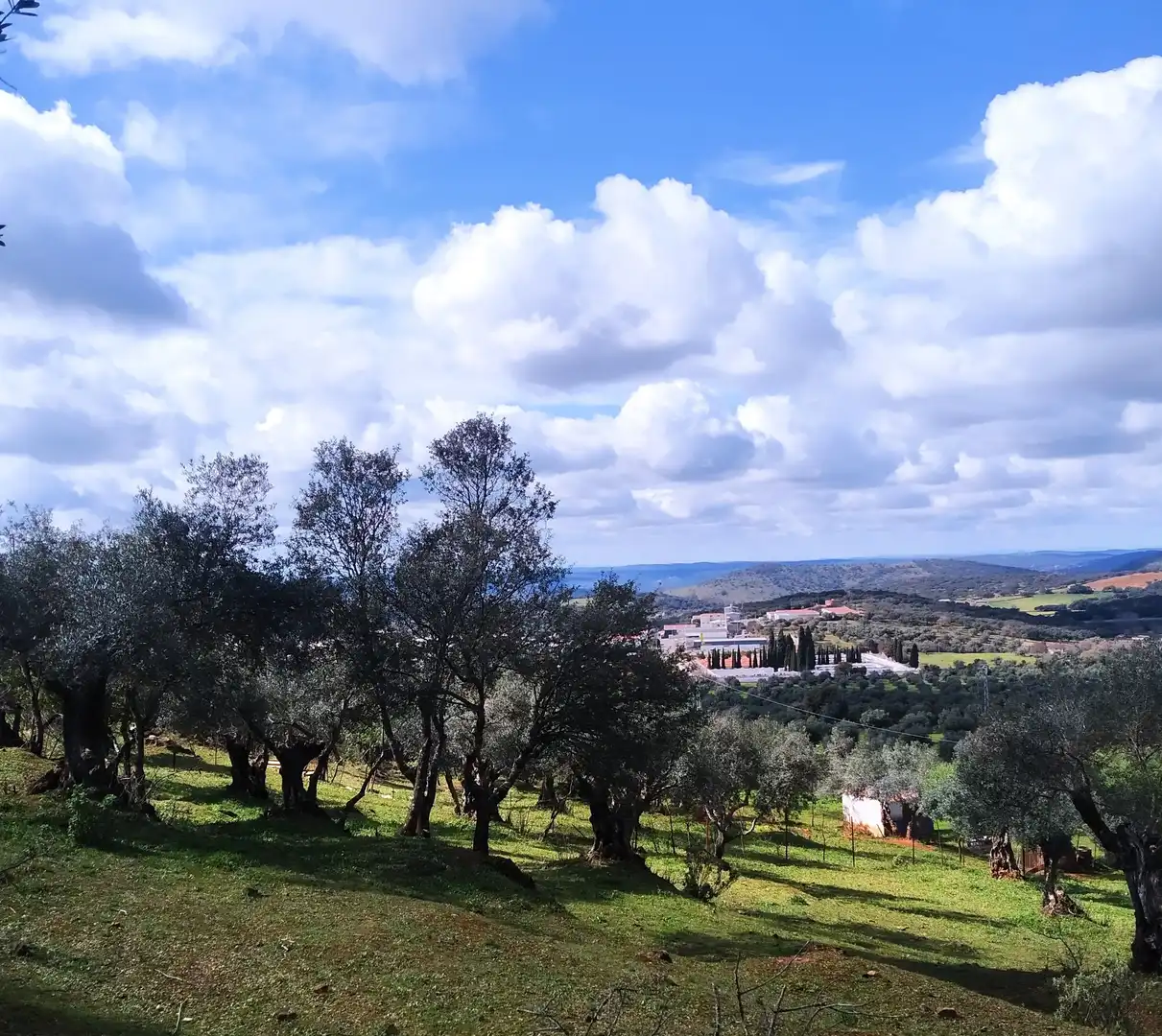 Terreni e lotti in vendita a Jerez de los Caballeros, imagen 13