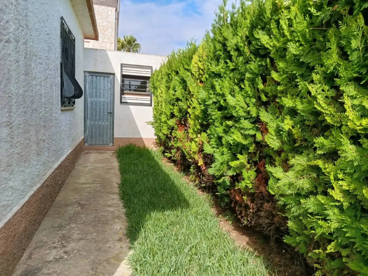 Jardí de Casa o xalet en venda en Vinaròs amb Jardí privat i Terrassa