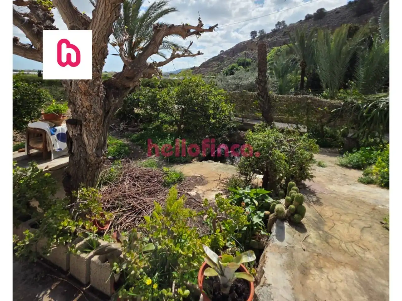 Finca rústica en venda en Orihuela amb Aire condicionat, Calefacció i Jardí privat