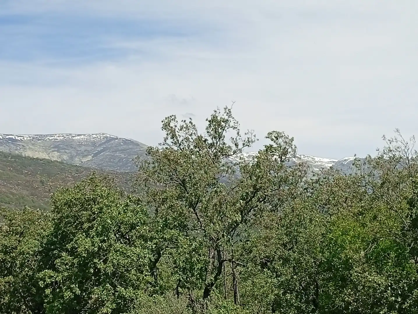 Terreni e lotti in vendita a Villanueva de la Vera, imagen 122