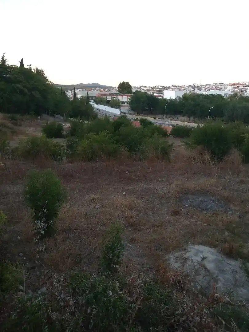 Finca rústica en venta en Casariche con Trastero, Amueblado y Horno