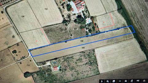 Finca de cultivo zona tranquila, immagine 4