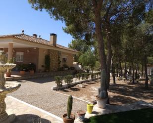 Jardí de Casa o xalet en venda en Molina de Segura amb Jardí privat, Piscina i Moblat