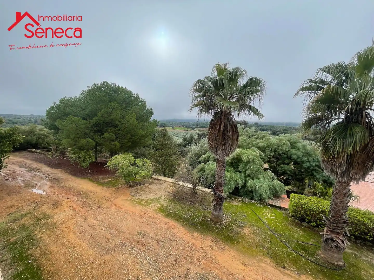 Casa amb piscina en venda a HORNACHUELOS SAN CALIXTO KM 6, imagen 2