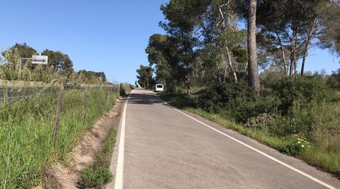SOLAR DE 22.857 METROS SON GUAL, imatge 4