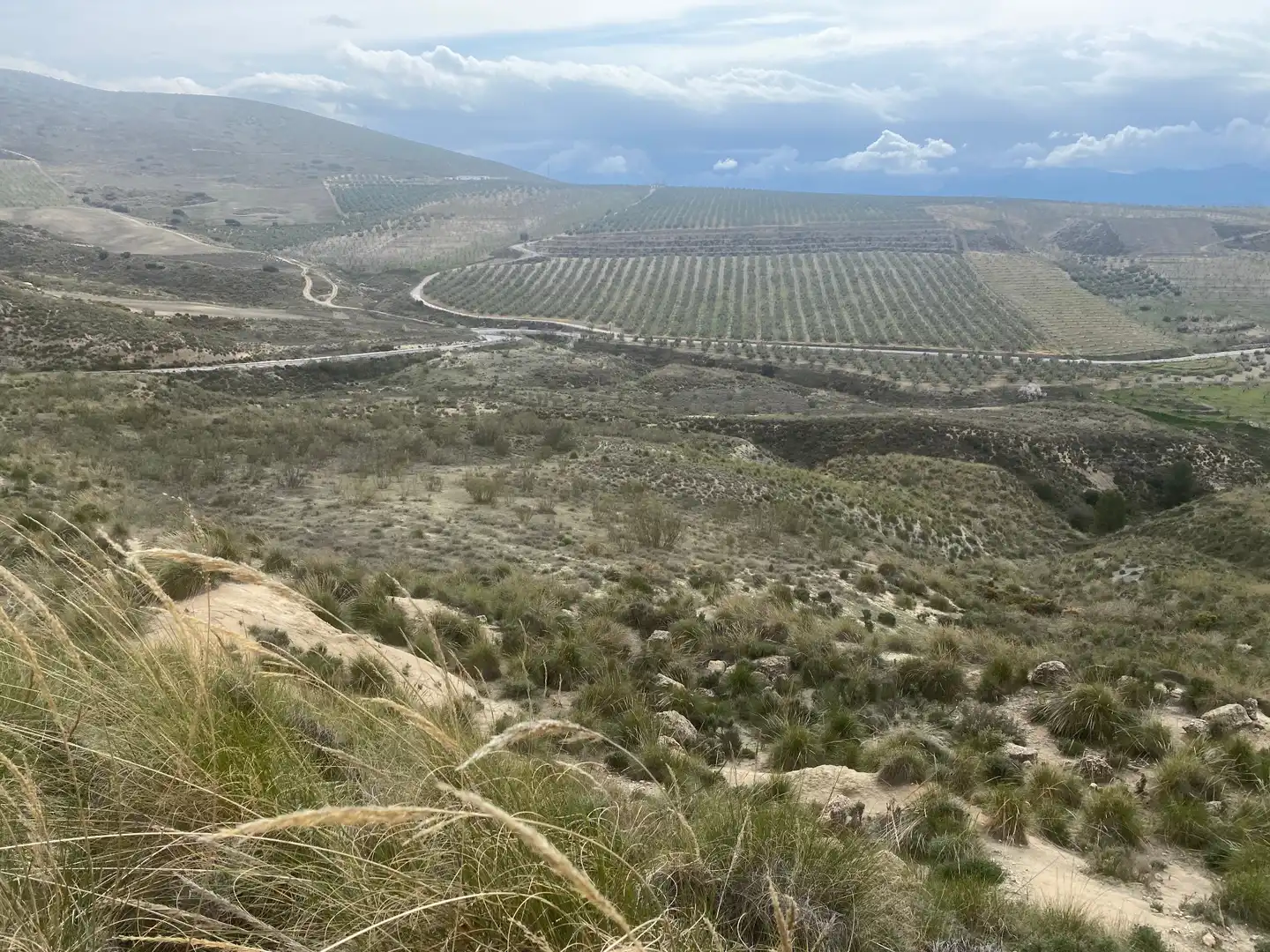 Rural land for sale in Calle Infanta Paz, imagen 3