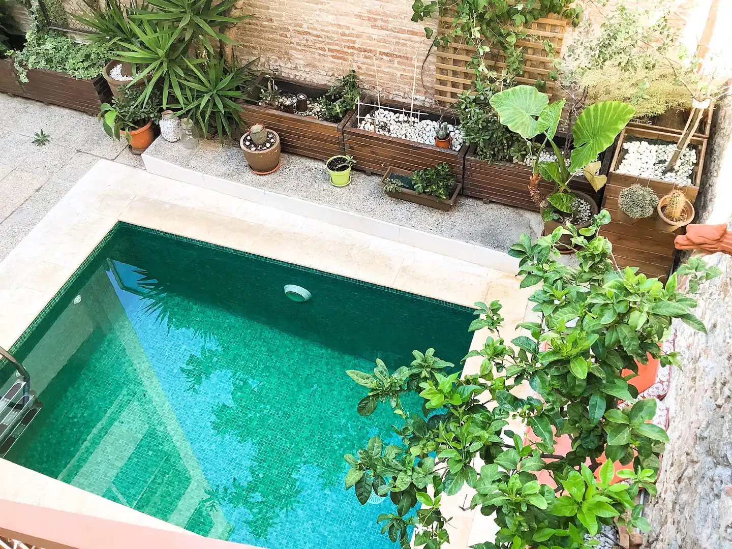 Swimming pool of Ground floor for sale in El Masnou  with Air Conditioner, Heating and Storage room