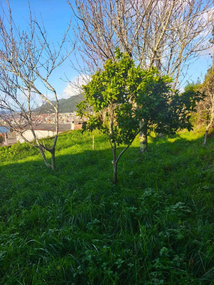 Casa o chalet en venta en Rúa A Cal, 151, A Guarda