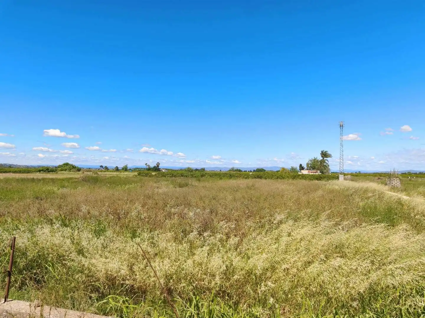 Lands and plots for sale in Riola, imagen 3