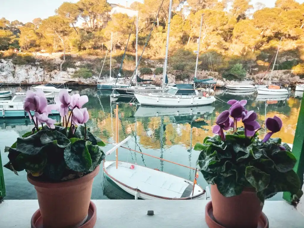 Duplex à louer à Cala Figuera, imagen 4
