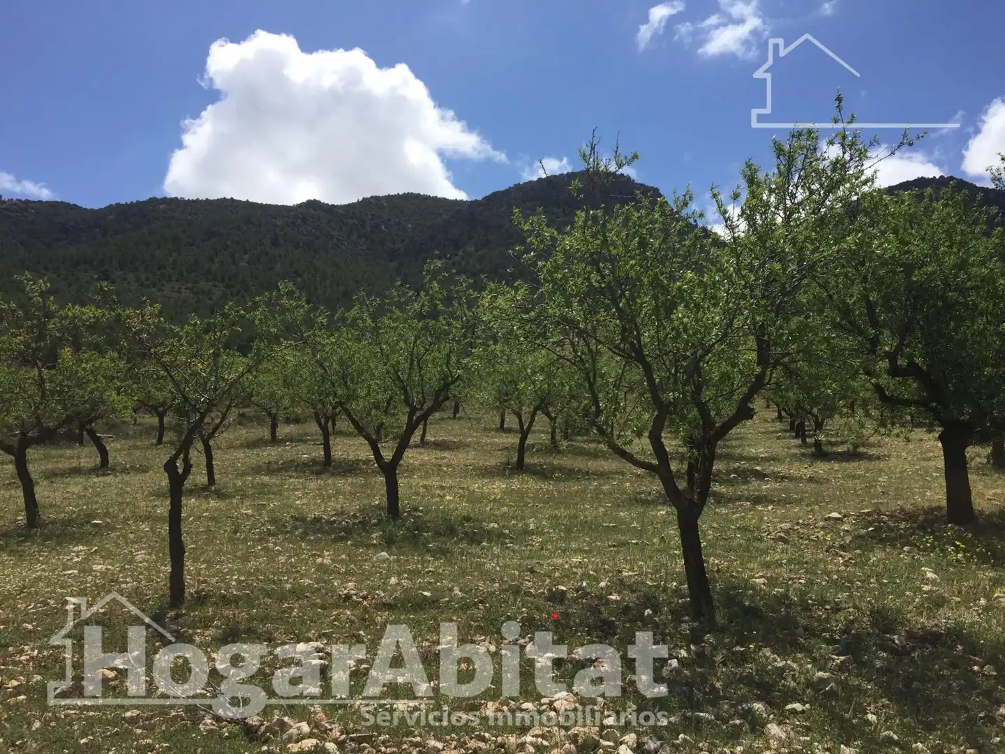 Chalet en venta en Calle BR CAMPILLO-FTE GATO Polígono, imagen 5