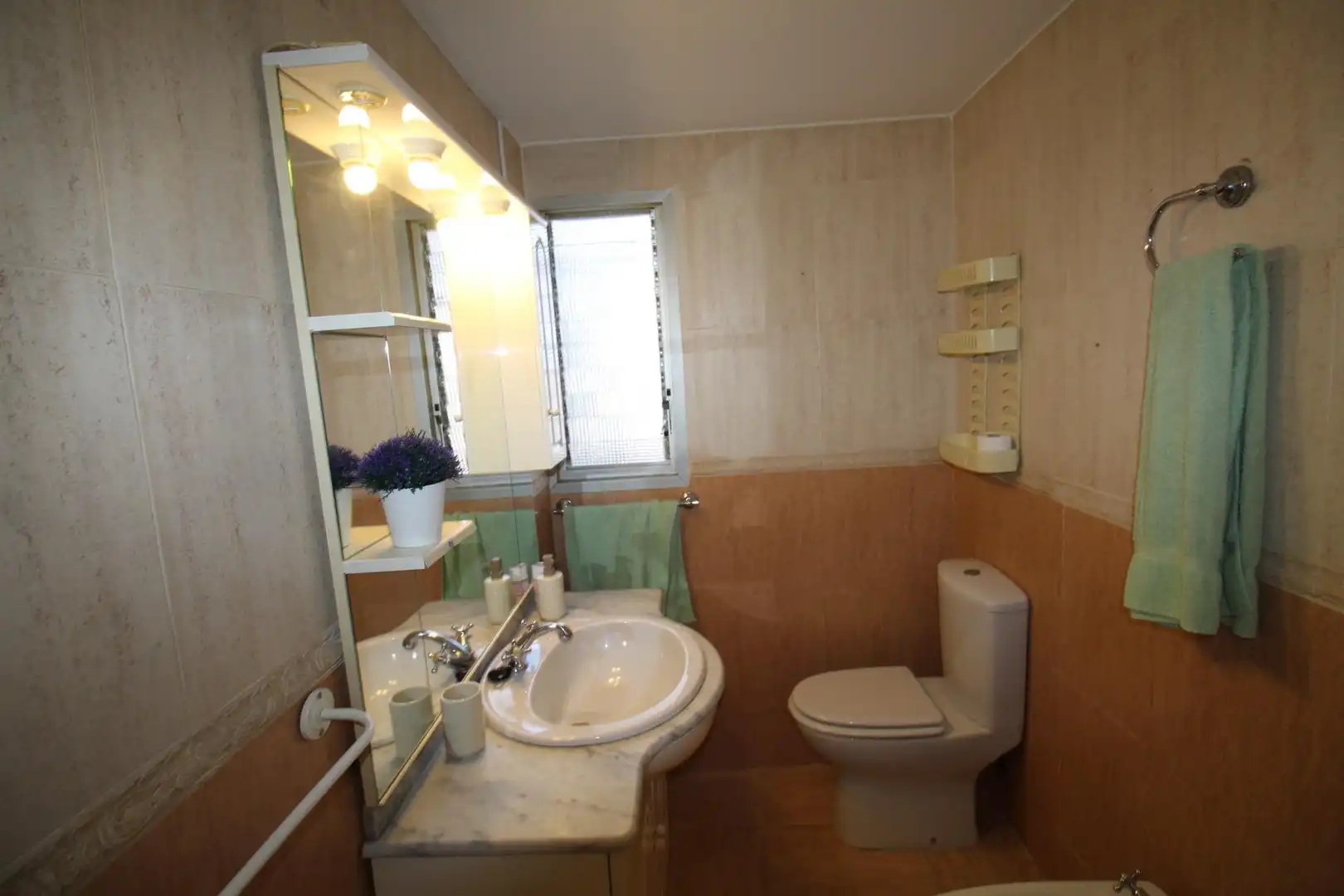 Flat for rent in Calle Palencia, , 11, Barrio de Zaidín