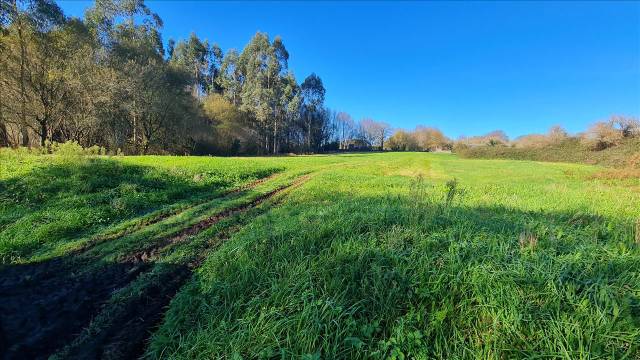 Terreno residencial en Venta en CAMPIÑA Polígono 507 Parcela 971 en San Lázaro - Meixonfrío