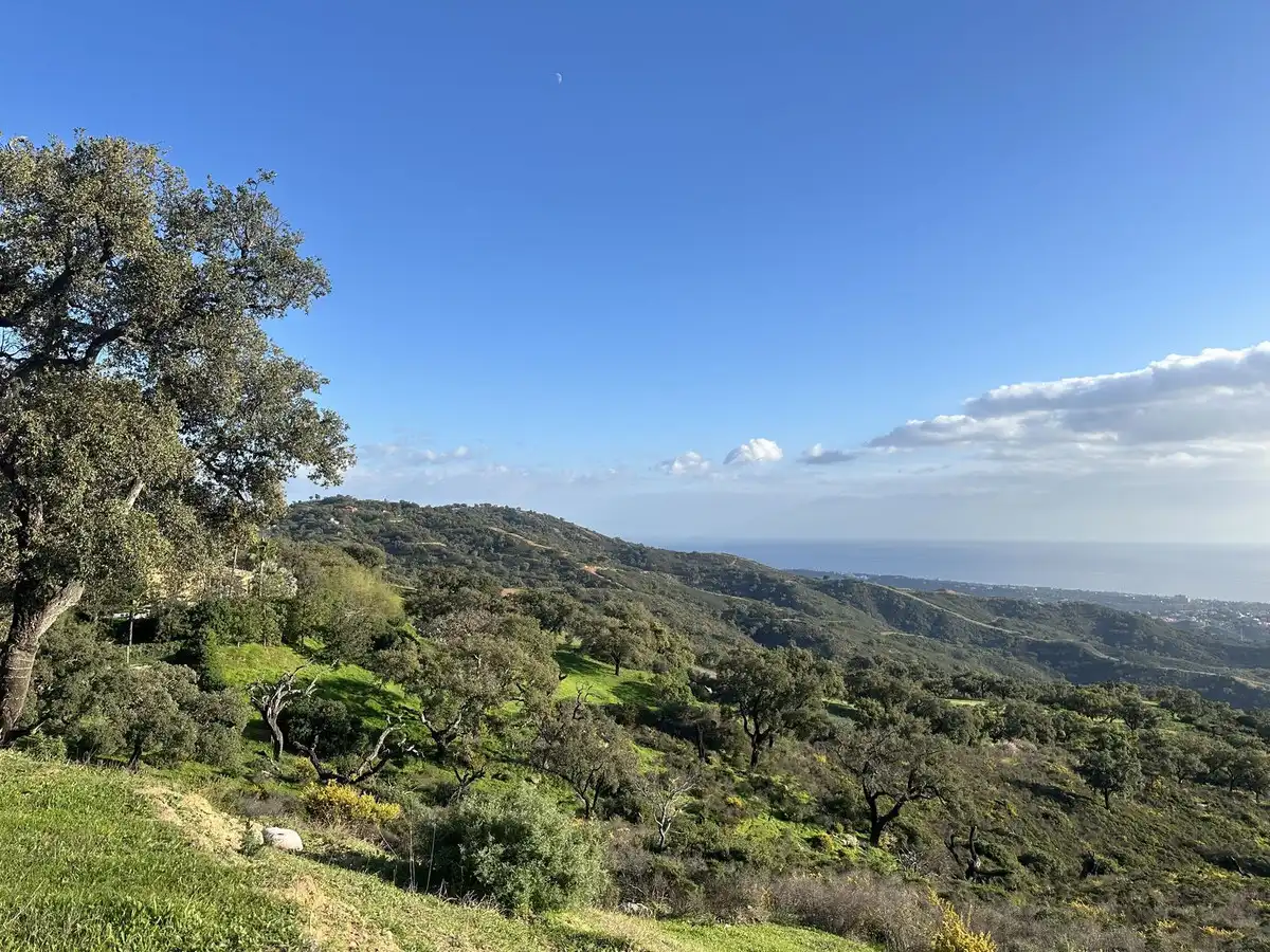 Vista exterior de Residencial en venta en Ojén