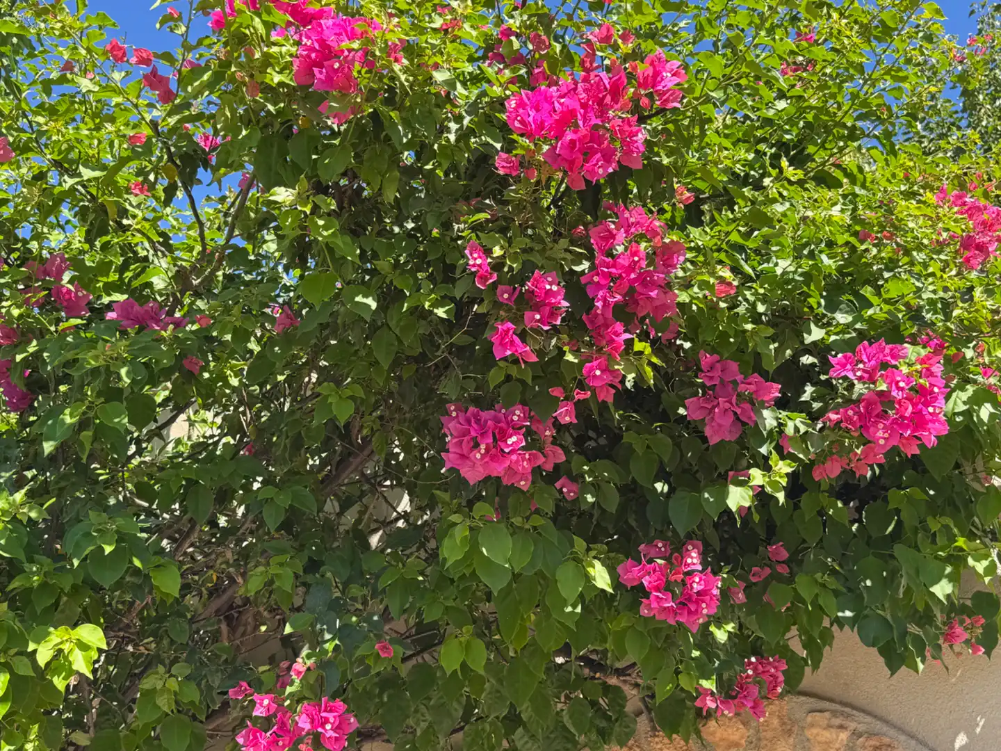 Villa con terrazza in vendita a Carretera de Murcia 13, imagen 70