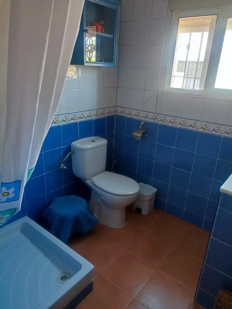 Chalet con piscina en venta en La Carlota, imagen 9