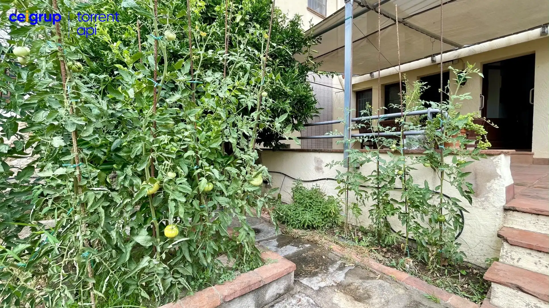 Country house with pool for sale in Torroella de Montgrí, imagen 18