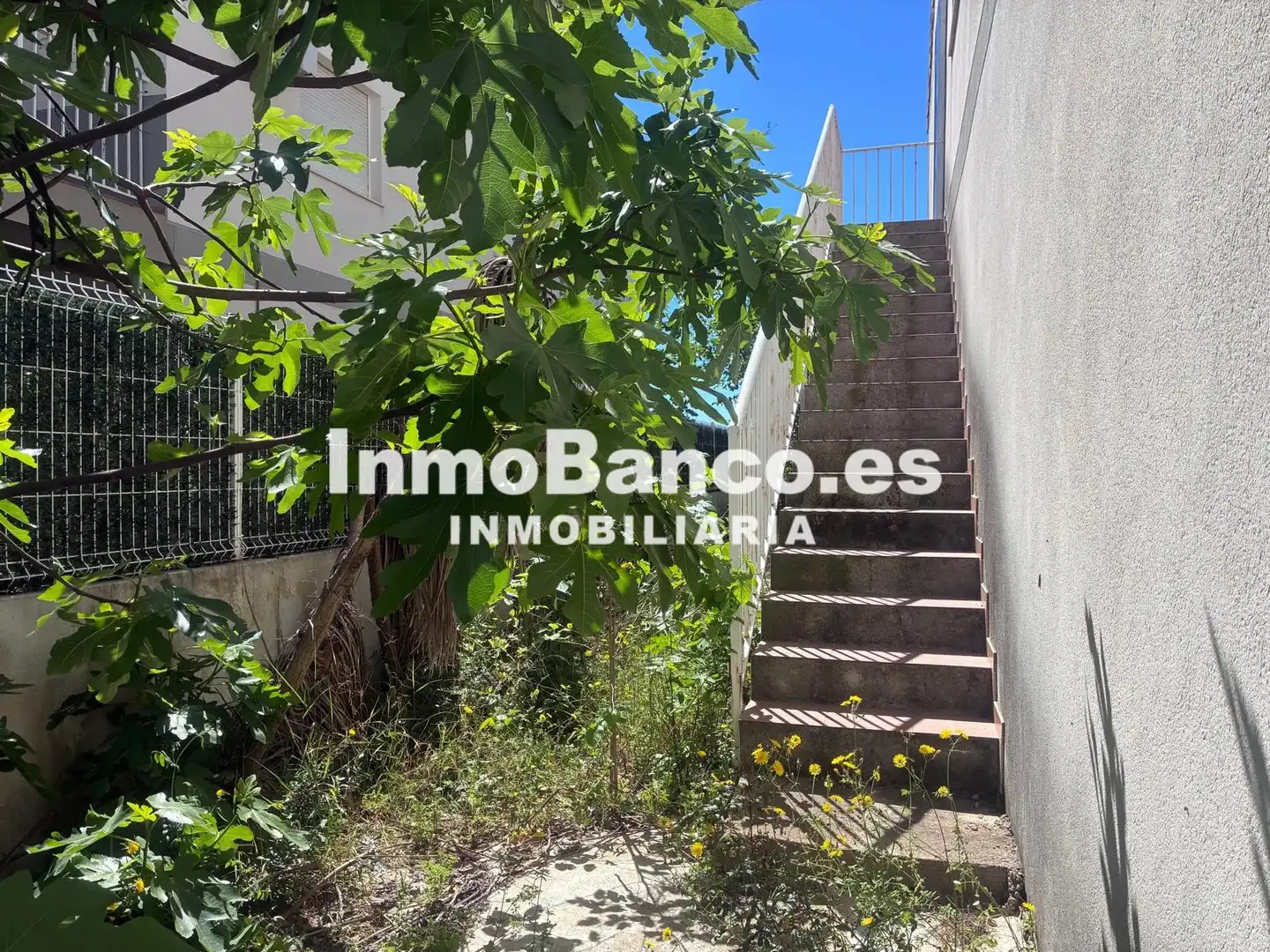 Exterior view of Houses for sale in Montserrat  with Private garden and Terrace