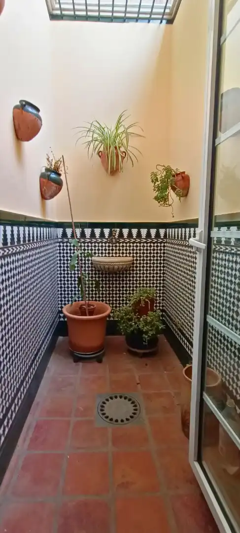 Garden of Houses for sale in Alhaurín de la Torre  with Private garden, Terrace and Swimming Pool