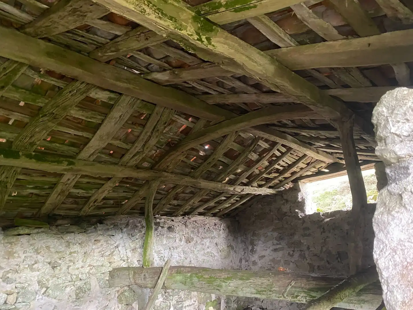 Terreno rustico in vendita a Següenco, imagen 16