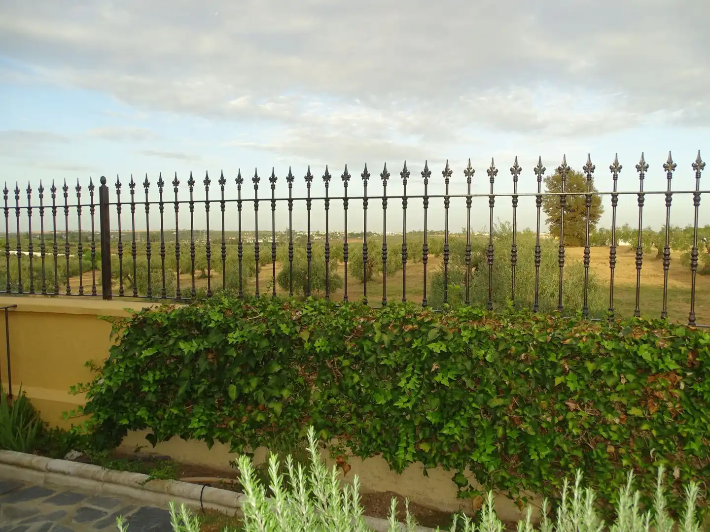 Villa con piscina in vendita a Jardines de triana, imagen 74