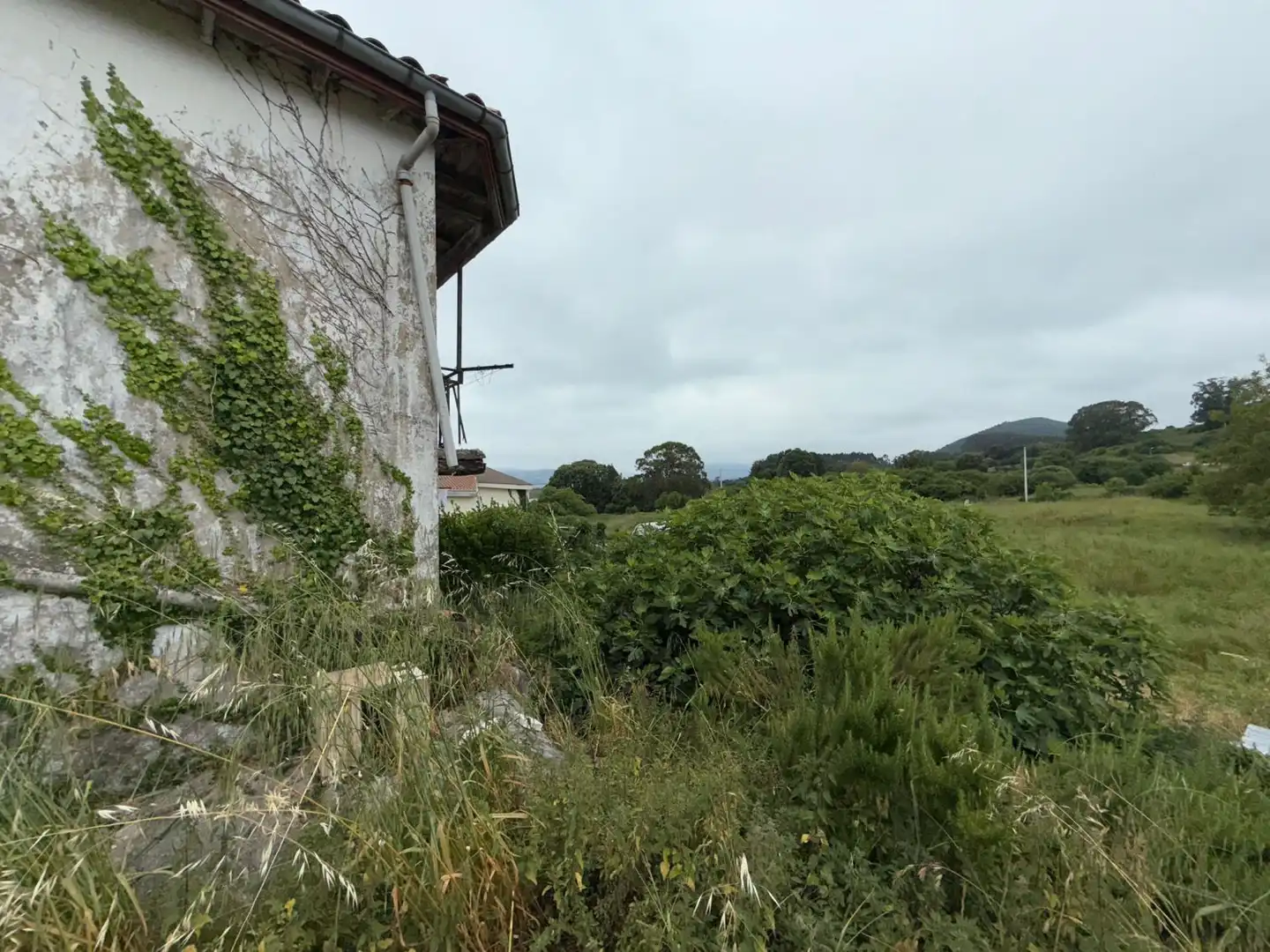 Houses for sale in Argoños 