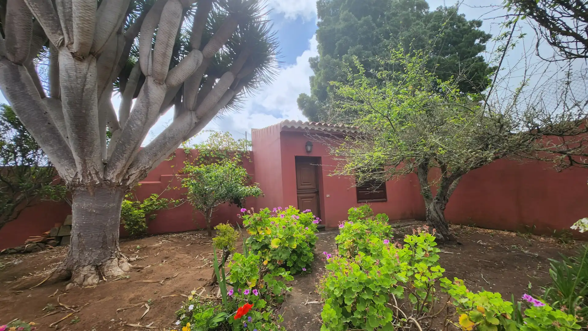 Vista exterior de Casa o chalet en venta en Tacoronte con Jardín privado, Terraza y Amueblado