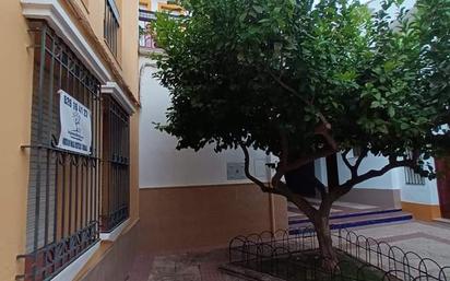 Exterior view of Single-family semi-detached for sale in Palma del Río