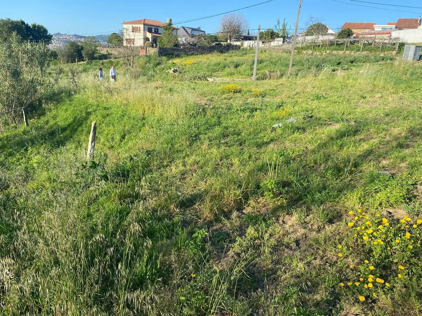Terrain rustique à vendre à CU DA VIÑA-BEADE, imagen 5