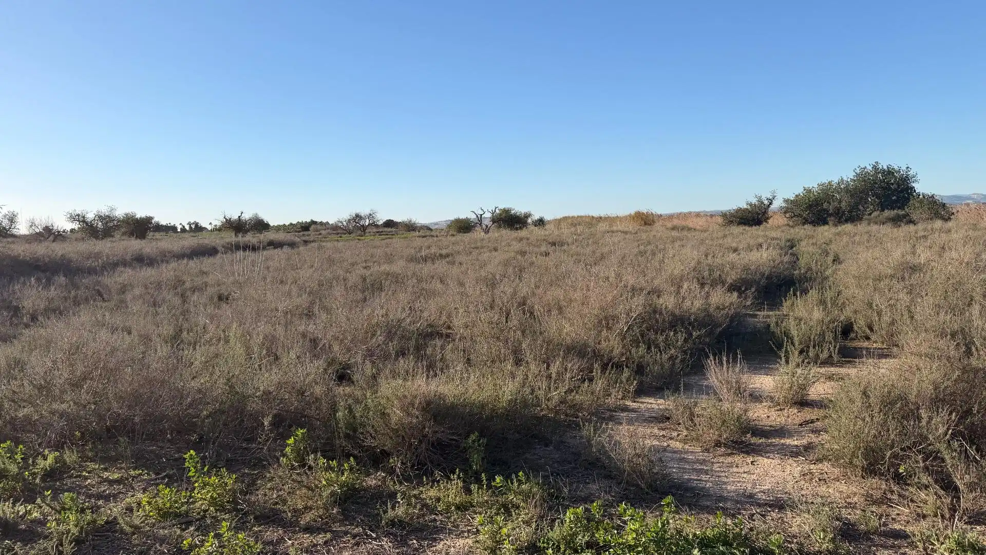 Terreno residencial en venta en La Marina, imagen 34